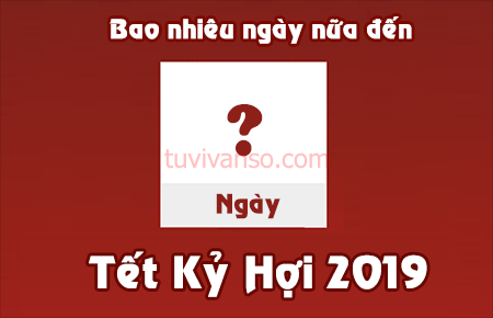Bao nhiêu ngày nữa đến tết nguyên đán Kỷ Hợi 2019 ?