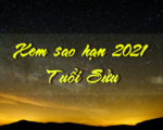 Tra sao chiếu mệnh chiếu hạn năm 2021 người tuổi Sửu