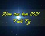 Xem sao hạn chiếu năm 2021 cho người tuổi Tý