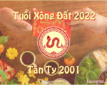 Chọn tuổi xông nhà năm 2022 cho gia chủ tuổi Tân Tỵ 2001