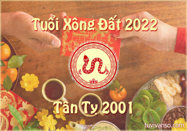 Chủ nhà tuổi Tân Tỵ 2001 nên mời ai đến xông nhà đầu năm mới 2022 này?