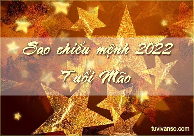 Xem sao chiếu mệnh năm 2022 người tuổi Mão - tuvivanso.com